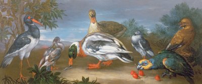 Maisema papukaijojen, ankkojen ja kyyhkyjen kanssa tekijältä Jean Baptiste Monnoyer